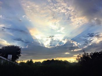 Low angle view of silhouette trees against sky