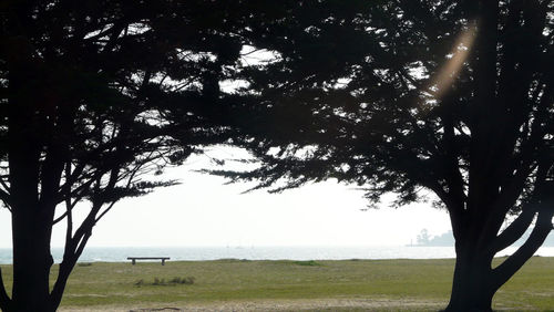 Scenic view of sea and trees against clear sky