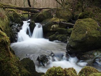 Scenic view of waterfall in forest