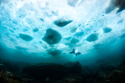 Full length of scuba diver swimming in frozen sea