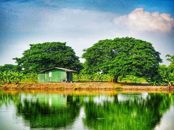 Reflection of trees in lake against sky