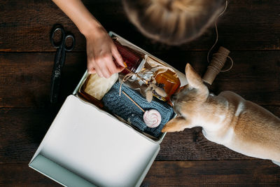 Care box, package ideas. woman and her dog fold a care box with sweets  clothes. care package 