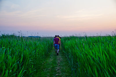 Rear view of people walking in farm against sky during sunset