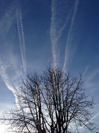 Low angle view of bare trees against blue sky