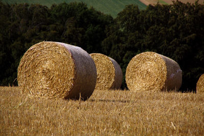 Hay bales on field