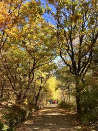 Rear view of people walking on footpath amidst trees during autumn