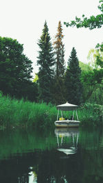 Scenic view of lake in forest