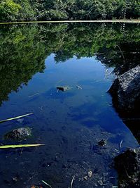 High angle view of swimming in lake