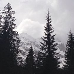 Scenic view of mountains against cloudy sky