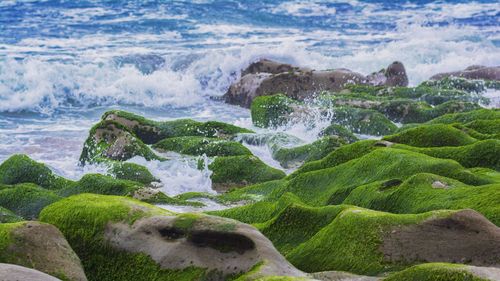 Scenic view of sea waves splashing on rocks