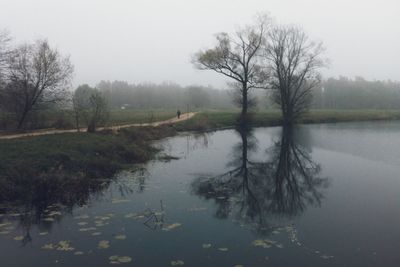 Reflection of trees in lake