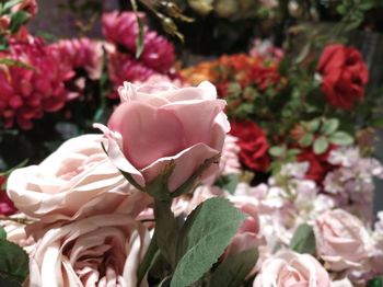 Close-up of rose bouquet