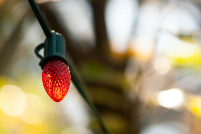 Low angle view of red lighting equipment