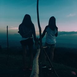 Rear view of friends standing on mountain against sky at dusk