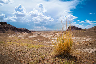 Scenic view of landscape against sky at petrified forest national park