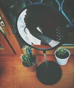 High angle view of potted plants on table