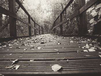 View of wooden walkway