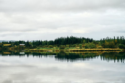 Landscape of green empty lake shore