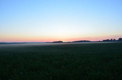 Scenic view of field against clear sky during sunset