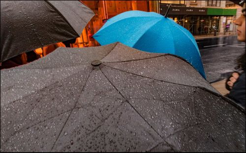 Close-up of wet umbrella on street