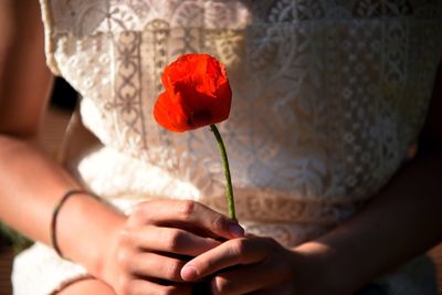 Close-up of hand holding red rose