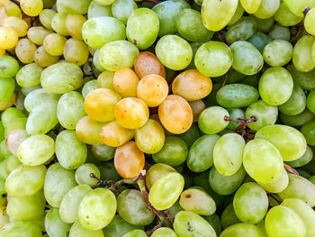 Full frame shot of fruits for sale in market