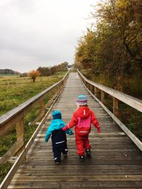 Rear view of siblings on tree