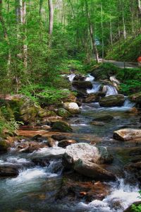 Stream flowing through rocks in forest