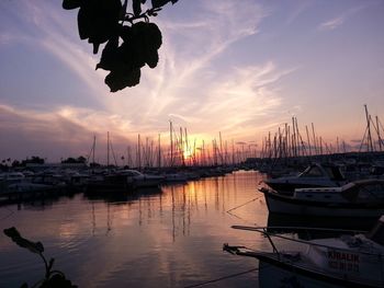 Sailboats in marina at sunset