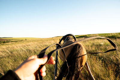 Man photographing on field against clear sky