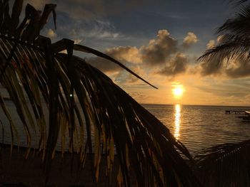 Close-up of sea against sunset sky