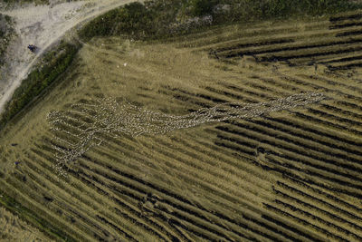 High angle view of land