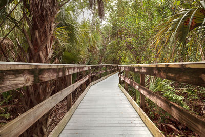 Boardwalk that extends through manatee park in fort myers, florida.