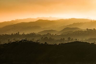 Scenic shot of misty landscape