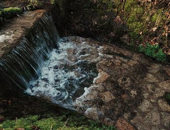 Stream flowing through rocks in forest