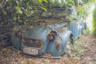 Interior of abandoned car