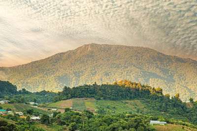 Scenic view of landscape against sky