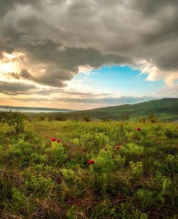 Scenic view of grassy field against cloudy sky