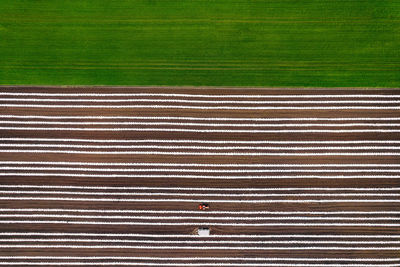 Full frame shot of agricultural field