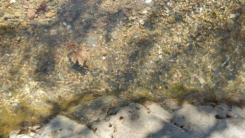 Full frame shot of sea shore