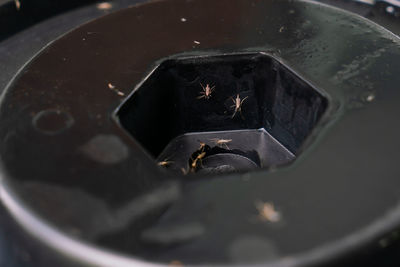 High angle view of food in container