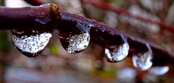 Close up of water