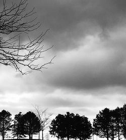 Low angle view of bare trees against cloudy sky