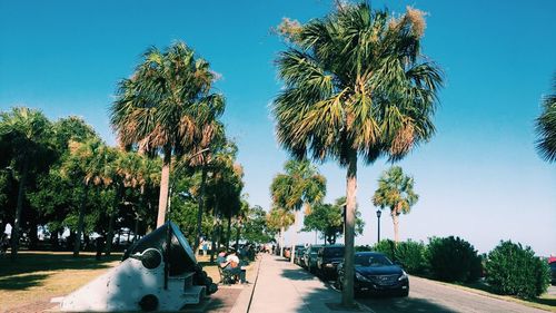 Palm trees against clear blue sky