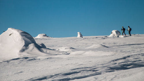 View of horse on snow covered landscape against sky