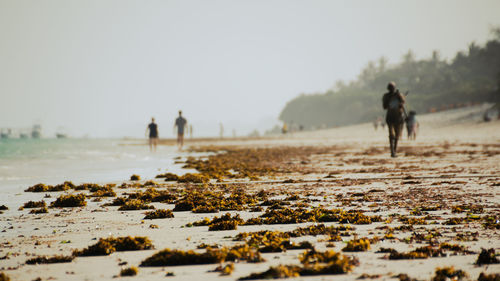 People walking on beach against clear sky