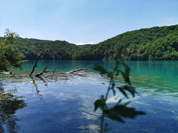 Scenic view of lake in forest against sky