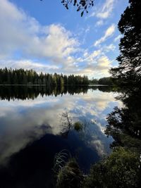 Scenic view of lake in forest against sky