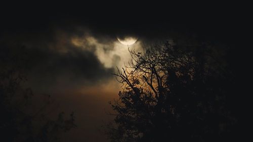 Low angle view of silhouette tree against sky at night