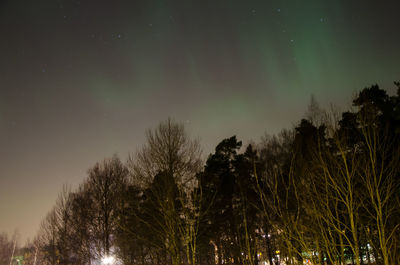 Low angle view of trees against sky